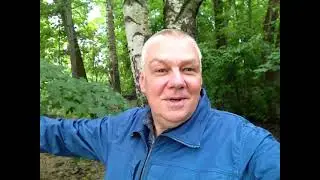 Налево пойдёшь, там простуда #поэзия #импровизация #shorts #мистика