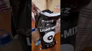 мои первые цветы ／(･ × ･)＼