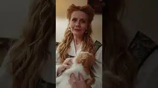 A Woman Petting Her Furry Cat | No Copyright Video (NCV)