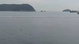 a7e01048 ed03 434f 9603 b6ff4baccb93