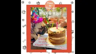 A Dog Cake; a cake for our furry, four-legged friend