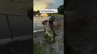 BIG LAREMOUTH BASS