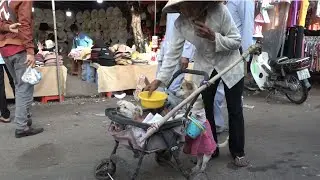 Hai chú chó theo bà lão đi ăn xin trông rất thương