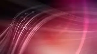 Free Video Clips, Cheap Stock Video, Copyright Free Animal Videos, Pond5 Footage, Copyright Free,