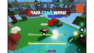 Types of players in Roblox Bedwars!