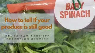 Understanding the Dates on Food Labels: How to tell if your produce is still good.