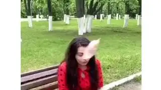 Подарок с небес