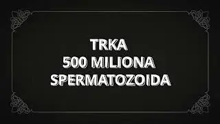 TRKA 500 MILIONA SPERMATOZOIDA (priča o začetku svakog od nas)