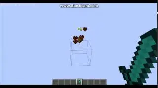 Pig drops bread 4 star