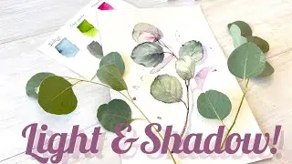 How can i draw Light & Shadow in watercolor step by step. Tutorial.