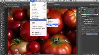 Photoshop Tutorial - Add and Subtract From Selections