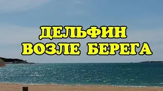 #ГЕЛЕНДЖИК