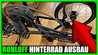 Rohloff Hinterrad als Anfänger bei E-Bike ausbauen | Tipps vom Zweiradmechniker