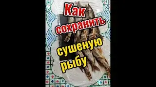 Как сохранить сушеную рыбу