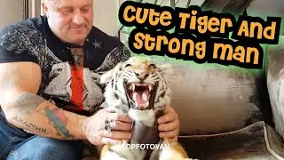 милый Тигренок в могучих руках Чемпиона