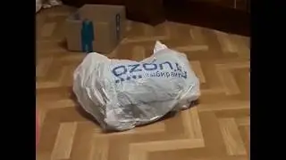 смешная посылка озон в исполнении кошки ули