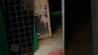 मेरा घर | My Sweet Home | 🙂 