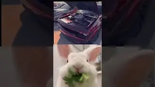 Ahhhh this sound| Try to SUBSCRIBE my Channel for more #car #subscribemychannel