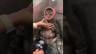 Купаюсь 😎