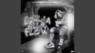 Soulja Slim Flow