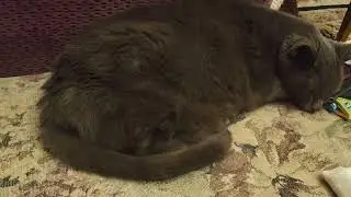 This girl just turned 13. She needs her beauty sleep!