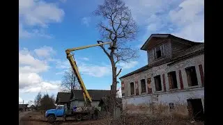 Срезали вековые деревья - Тверская область - обрезка возле дома