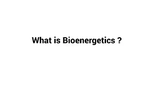 What is Bioenergetics ?