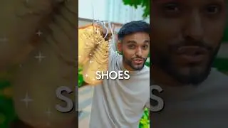 ₹165 Crore ke Shoes 👞😮