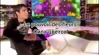 Gregory et Liane Foly «Le pouvoir des fleurs» (текст и перевод песни)