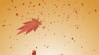 【free(無料素材)】散りゆく紅葉 風に舞う / Maple trees are falling and petals dancing in the wind.