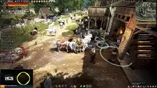 RU/LT Black Desert Online сбор/кулинарка/алхимка/бартер/паки/крафт. 12/31