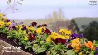 Hoy hablamos de... Agricultura ecológica