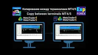 Копировщик сделок COPYLOT для MT4 и MT5 с реверсом
