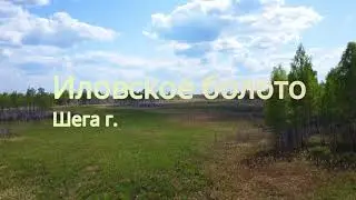 Иловское болото Шегарский р-н 20,22