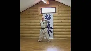#hanshi #karate #yakunin #kyokushin #kyokushinkarate