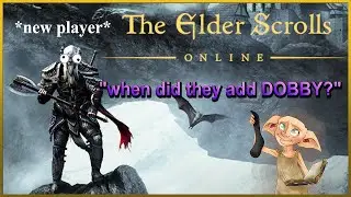 The ESO *New Player* Experience