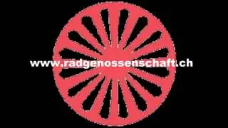 Rassenhygiene: Nazimethoden und Barbareien der Pro Juventute: 1926-1973