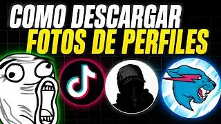 Cómo Descargar Fotos de Perfil de TikTok en HD 📸 (Sin Apps)