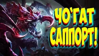 Чо`ГАТ САППОРТ!Cho'gath. 