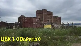 ЦБК-1 