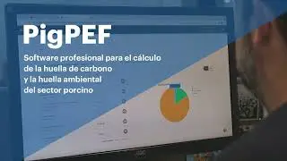 PigPEF