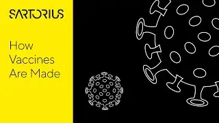How Vaccines Are Made and Manufactured | Viral Vector Platform