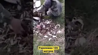 Раколовка 100 метр