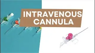 Intravenous cannula | Radiotherapy Edutech | Common terms in Oncology