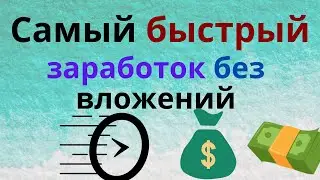 Qcomment - обзор и как работать, сколько можно заработать, быстрый заработок без вложений в интернет