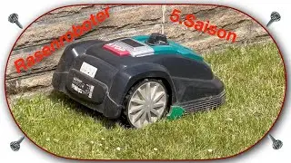 Rasenroboter von Aldi in der 5. Saison
