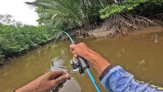 Mancing Kakap Putih Dan Menemukan Perkumpulan Para Ikan