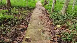 walking village