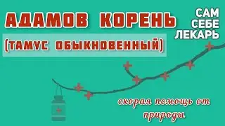 Болят Суставы? Адамов Корень - Скорая Помощь От Природы
