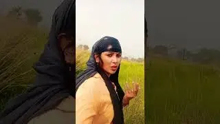 कैसे दिन बीते कोई जतन
